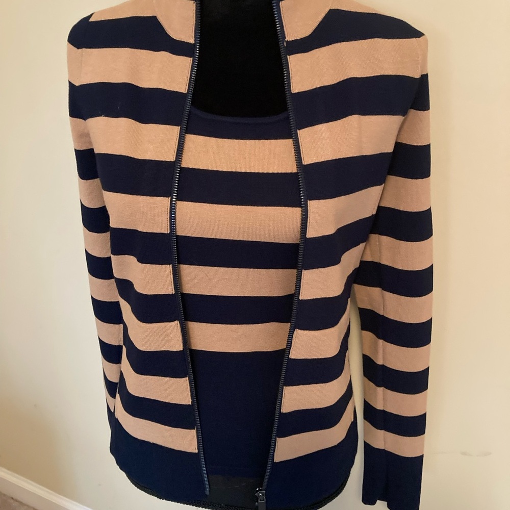 Carlisle Navy and Tan Striped Sweater